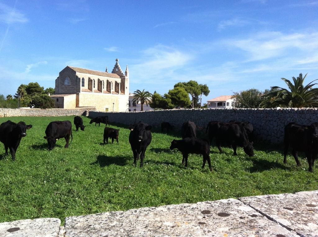 Llucmacanes Gran Agroturismo Villa Mahón Esterno foto